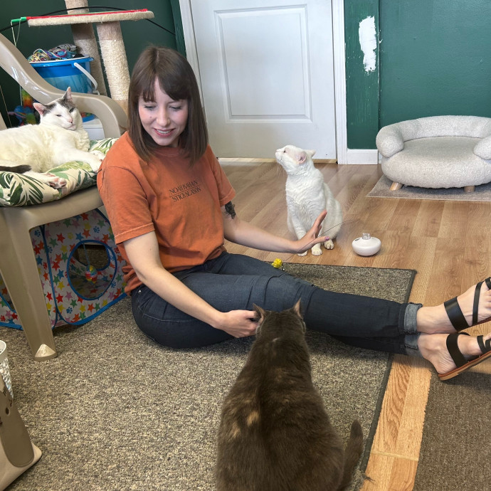 Purrfessional Cat Care