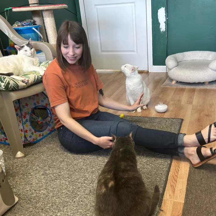 Purrfessional Cat Care