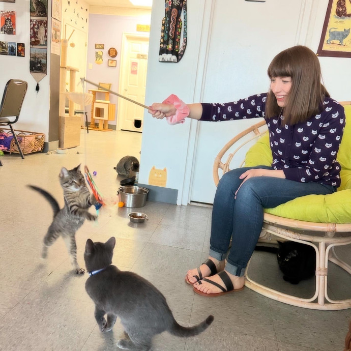 Purrfessional Cat Care