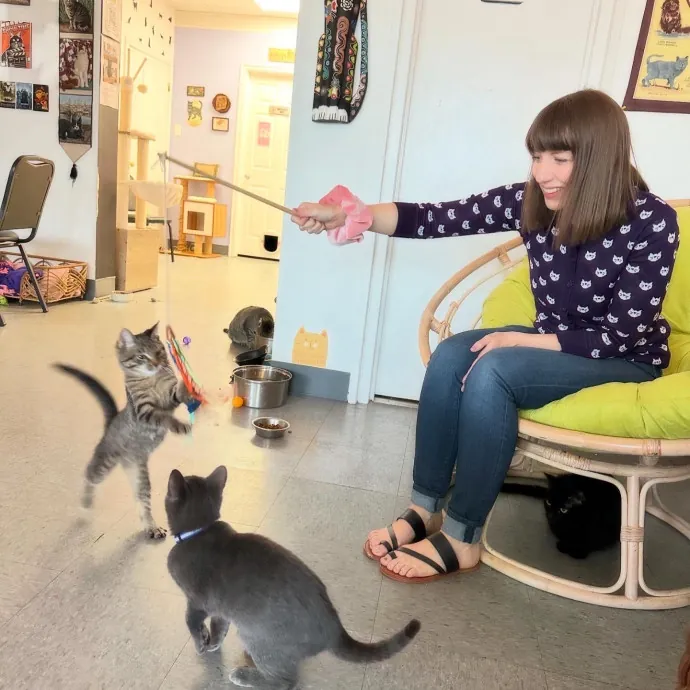 Purrfessional Cat Care