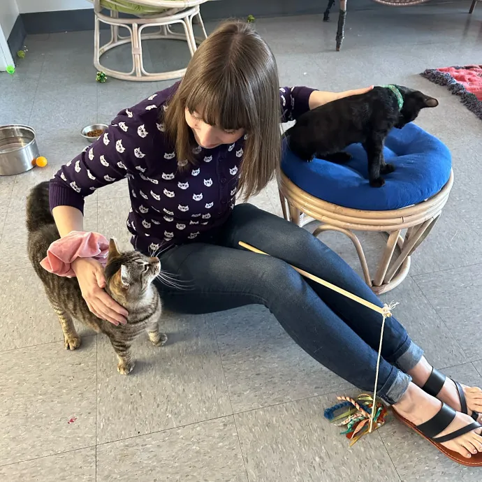 Purrfessional Cat Care