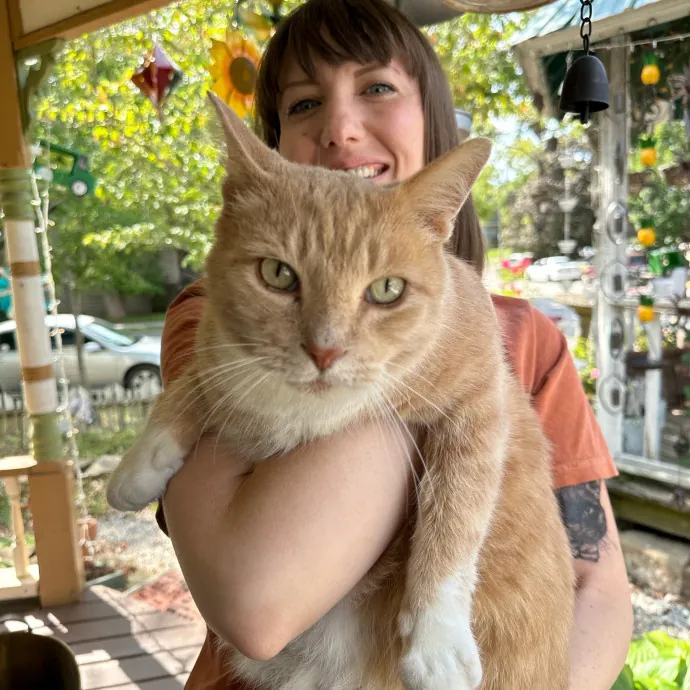 Purrfessional Cat Care