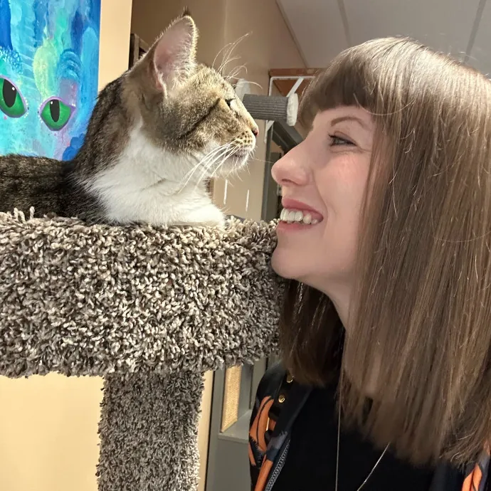 Purrfessional Cat Care