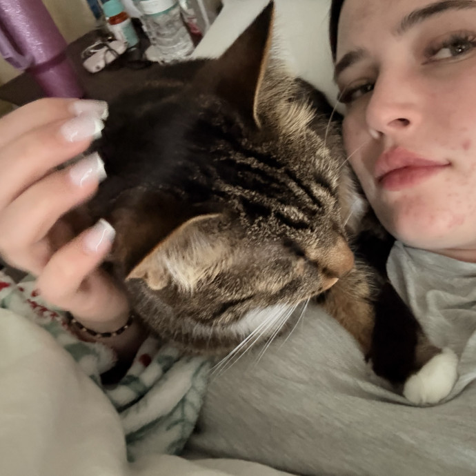 Your Cats New Favorite Human