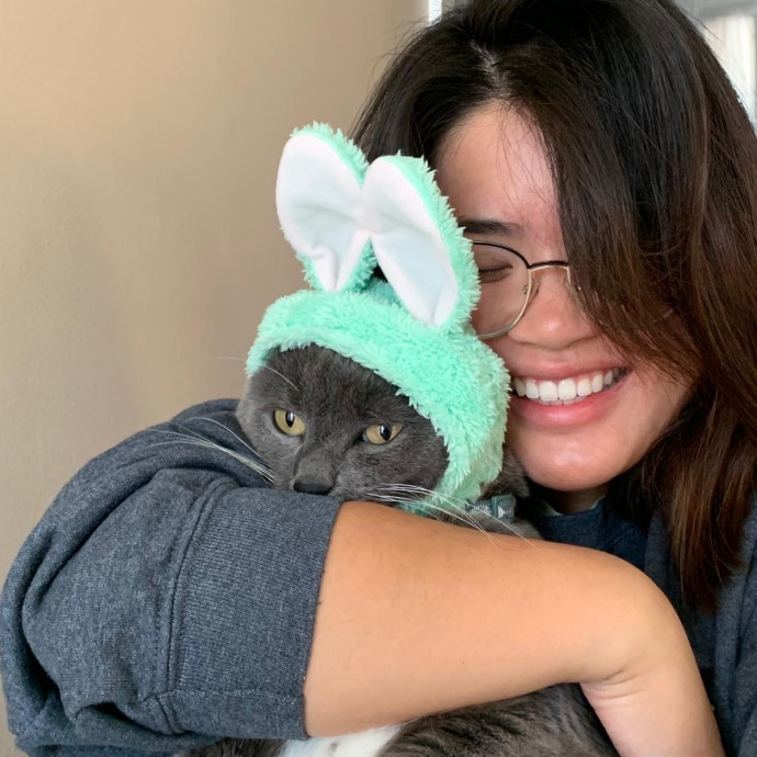 Safe Loving Cat Care - Stress Free Care
