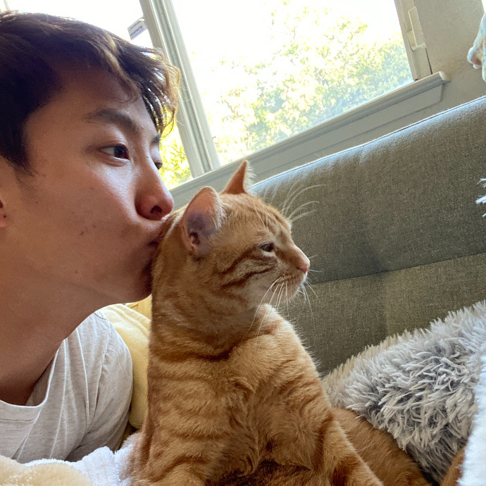 Jason's Cat Sitting