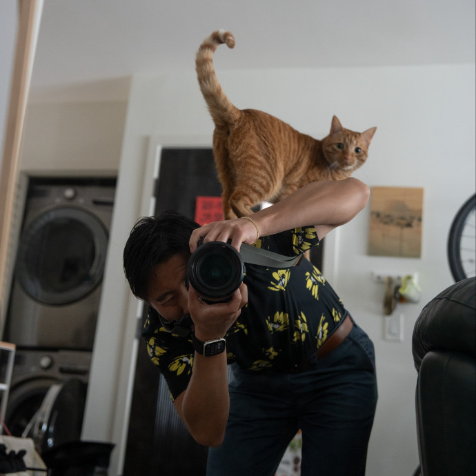 Jason's Cat Sitting
