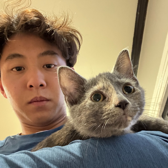 Jason's Cat Sitting