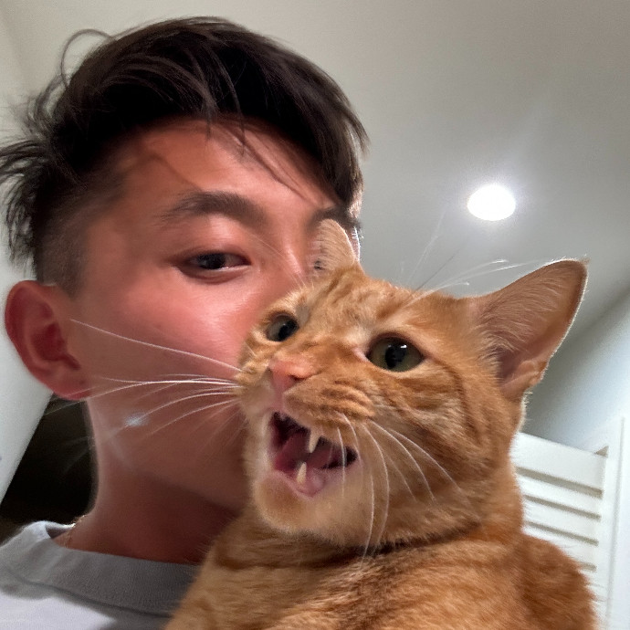 Jason's Cat Sitting