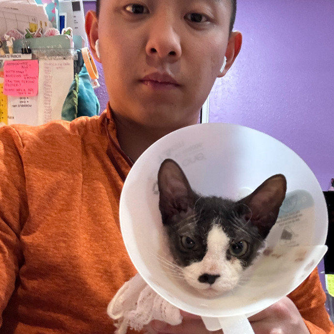 Jason's Cat Sitting