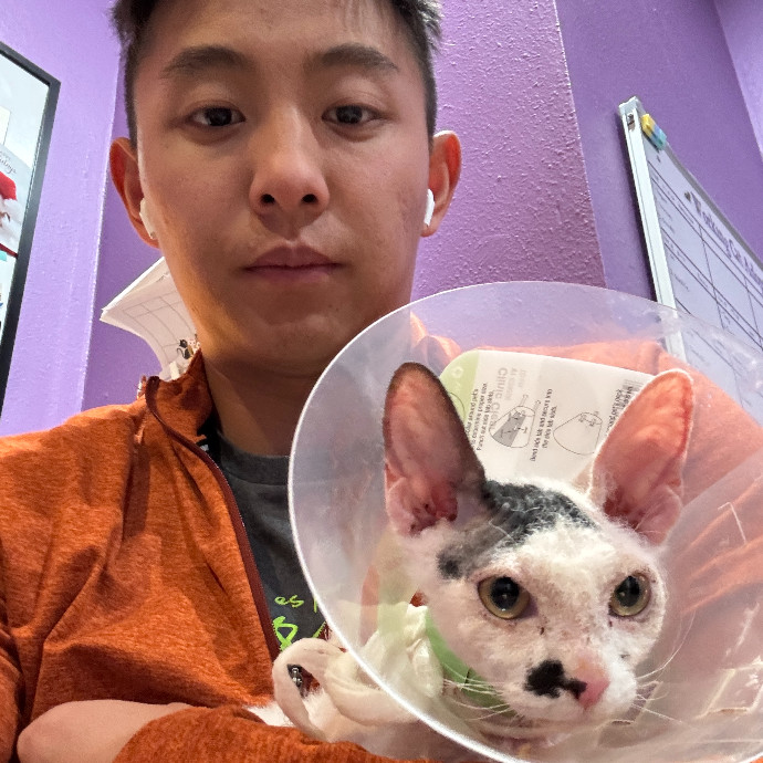 Jason's Cat Sitting