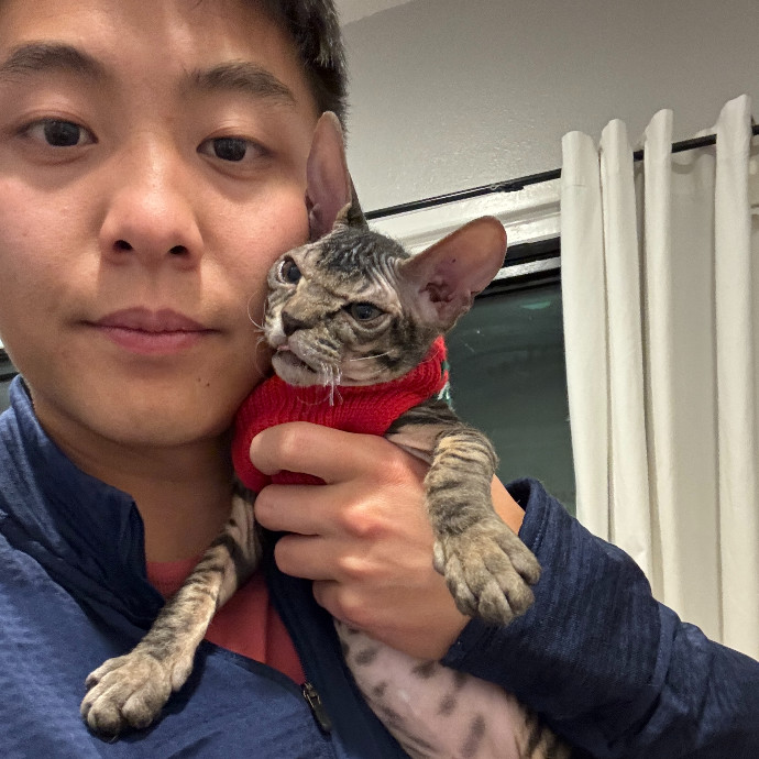 Jason's Cat Sitting