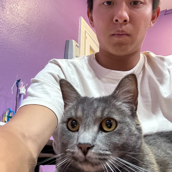 Jason's Cat Sitting