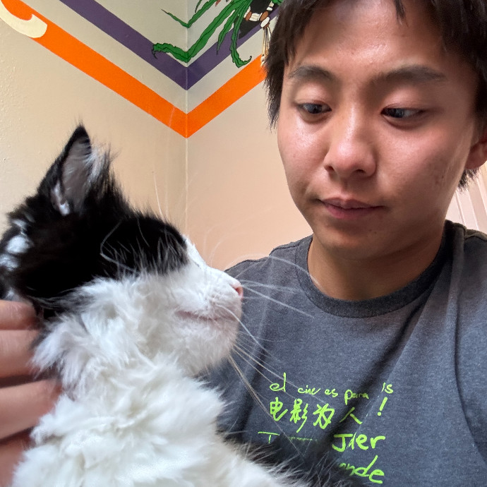 Jason's Cat Sitting