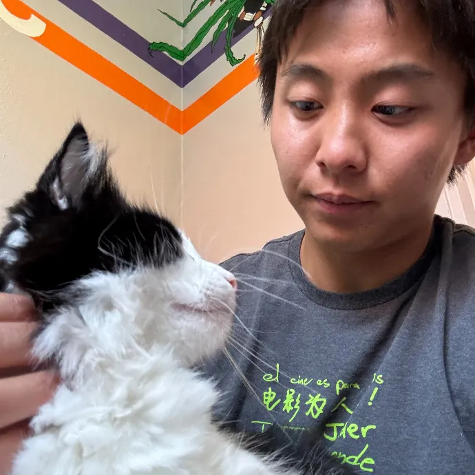Jason's Cat Sitting