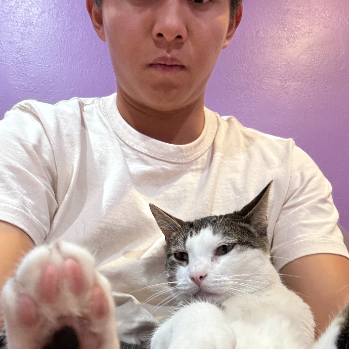 Jason's Cat Sitting