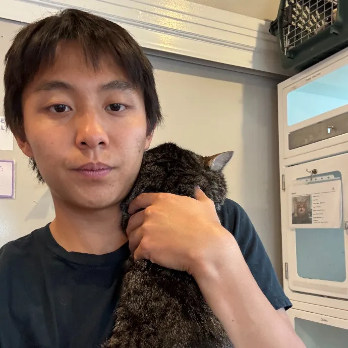 Jason's Cat Sitting