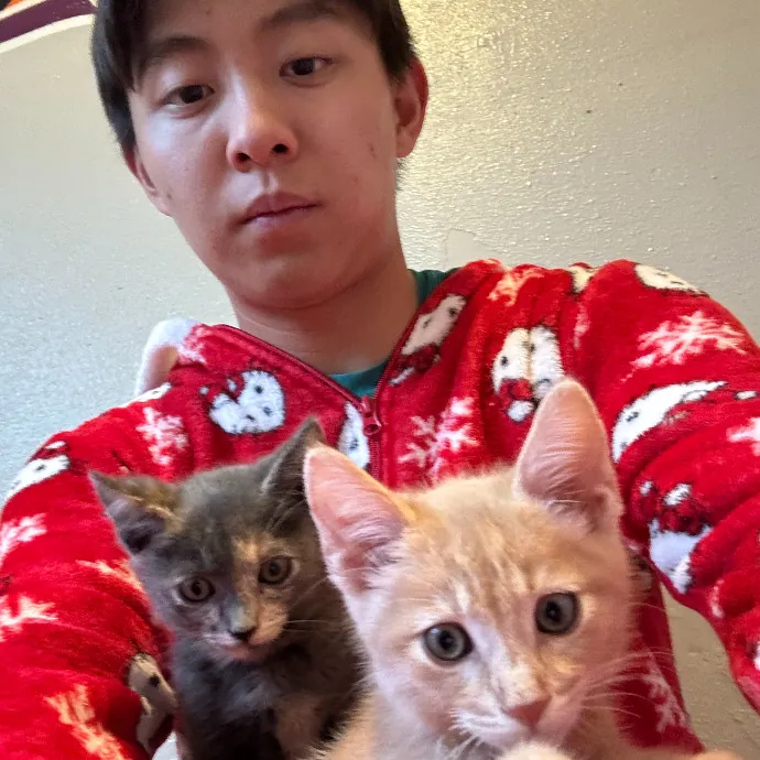 Jason's Cat Sitting