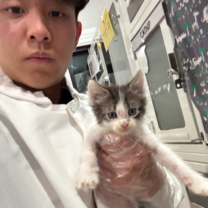 Jason's Cat Sitting