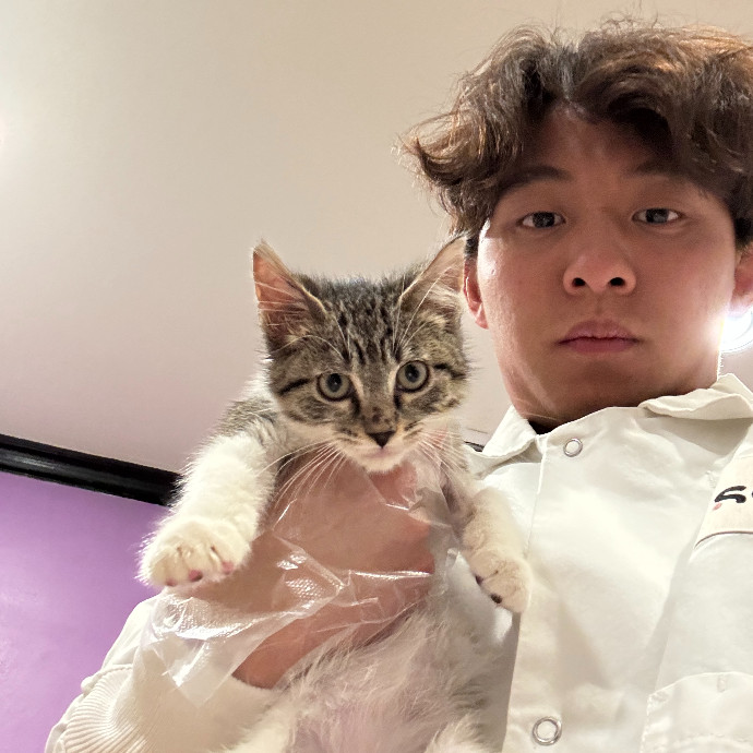 Jason's Cat Sitting