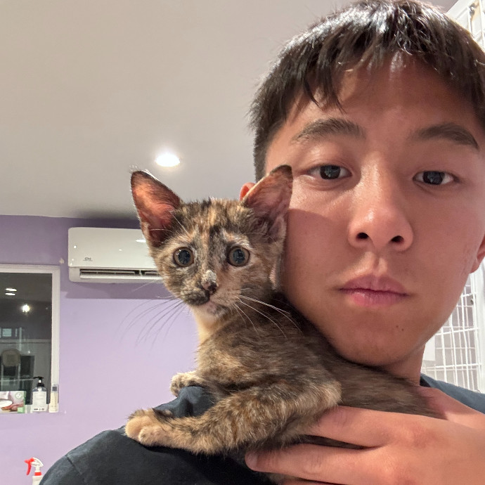 Jason's Cat Sitting