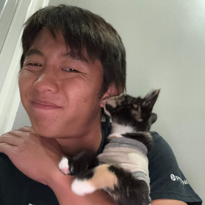 Jason's Cat Sitting