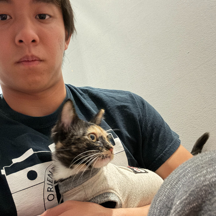 Jason's Cat Sitting