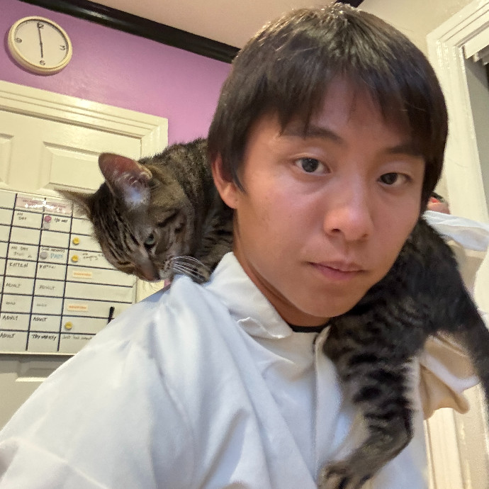 Jason's Cat Sitting