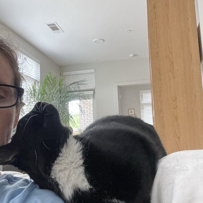 Reliable And Responsible Pet Sitting photo 3