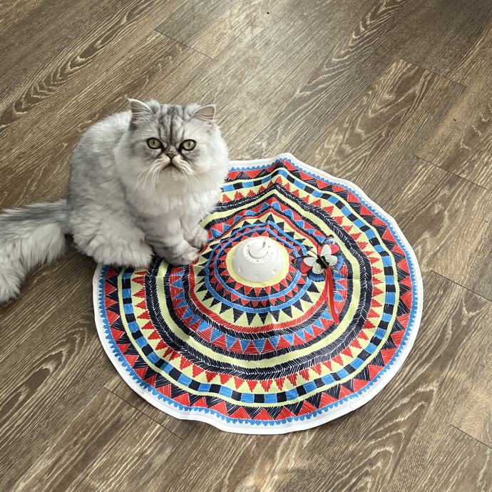 Paige's Cat Sitting