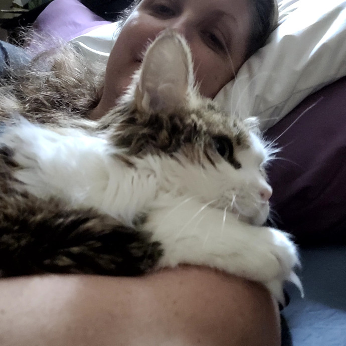 Local Cat Whisperer For Your Kitty Needs