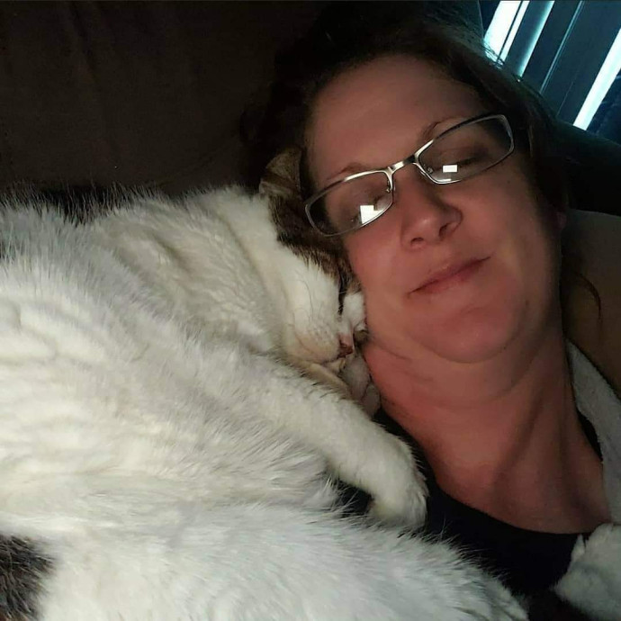 Local Cat Whisperer For Your Kitty Needs