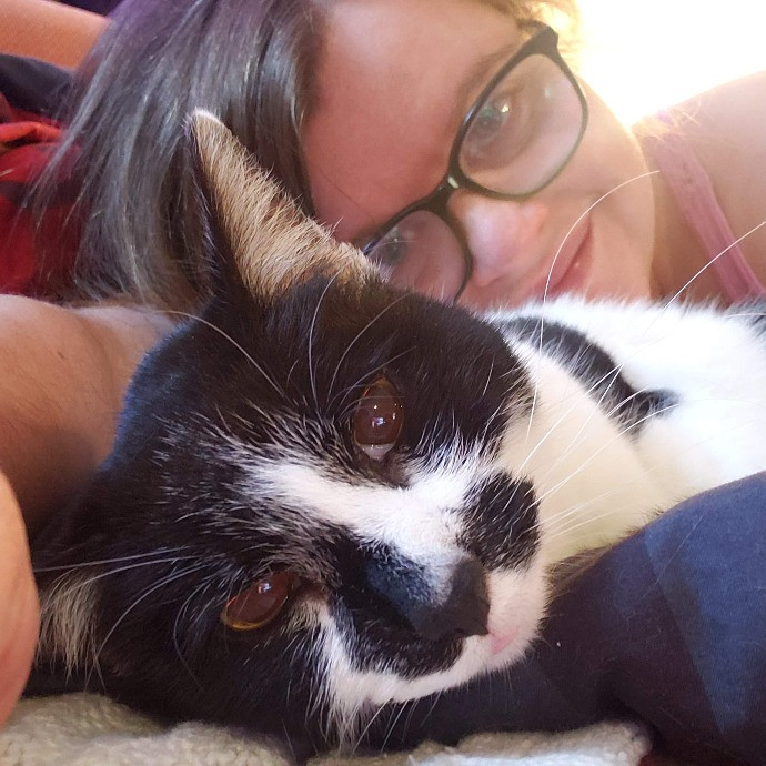Your Kitties Next Purrtner-In-Crime