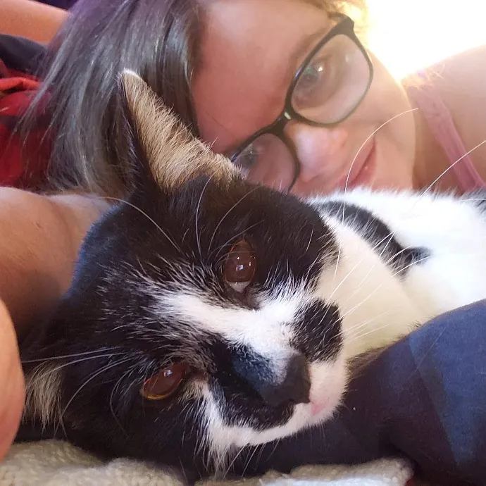 Your Kitties Next Purrtner-In-Crime