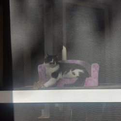 Photo #3