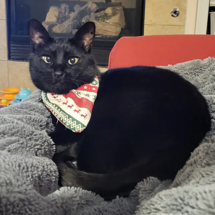 Heidi M.