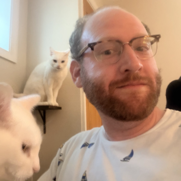 Friendly Experienced Cat Sitter-Dmv Area