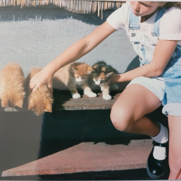 Hello Cat Parents Golden Paw Cat Care