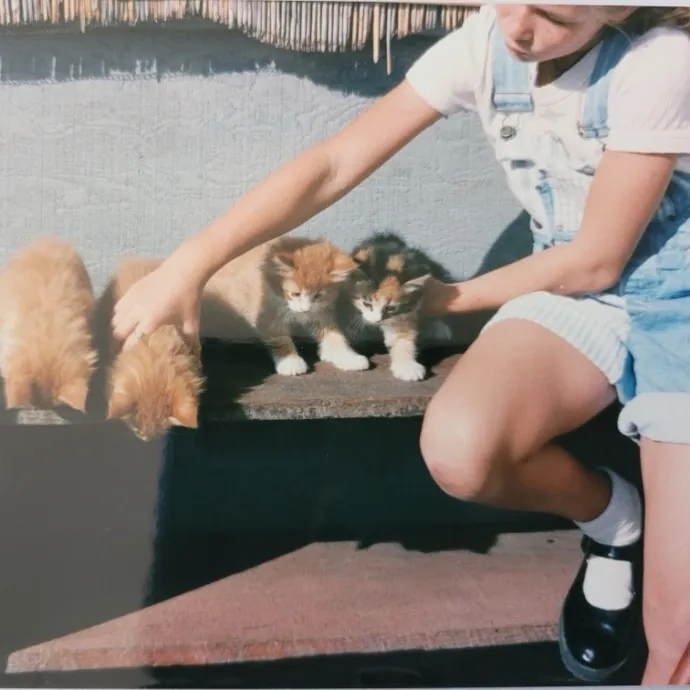 Hello Cat Parents Golden Paw Cat Care