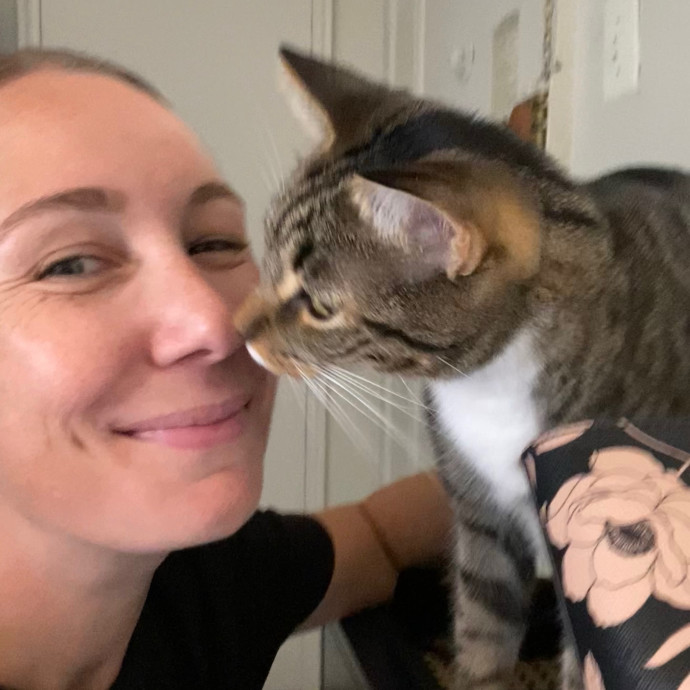 Hello Cat Parents Golden Paw Cat Care photo 3