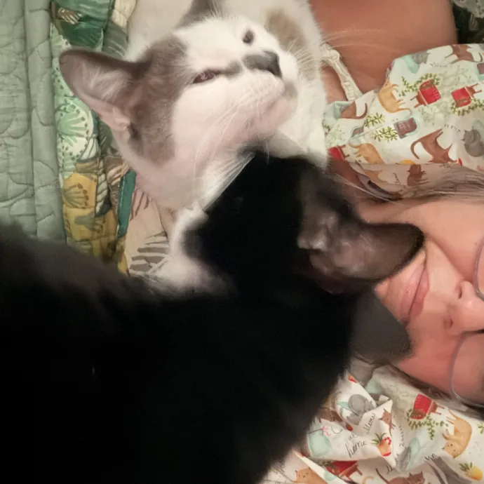 Rescue Cat Mom Here To Comfort Your Cats