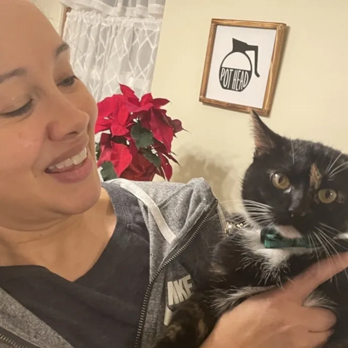 Cat Mom Caring For Your Cat Like My Own photo 2