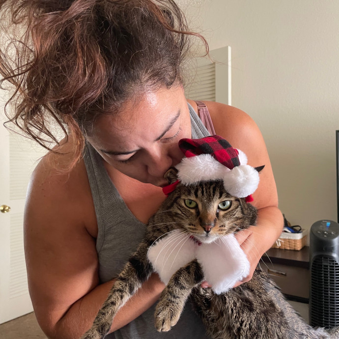 Priceless Peace Of Mind Cat Care In Oc