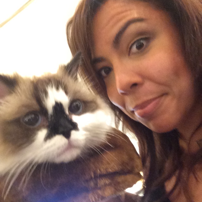Priceless Peace Of Mind Cat Care In Oc