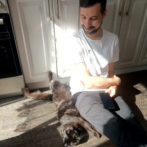 Cats Come First The Responsible Sitting