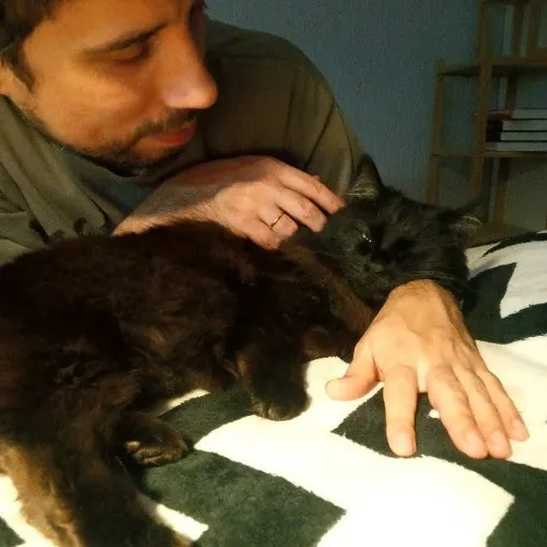 Cats Come First The Responsible Sitting