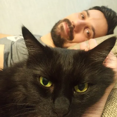 Cats Come First The Responsible Sitting