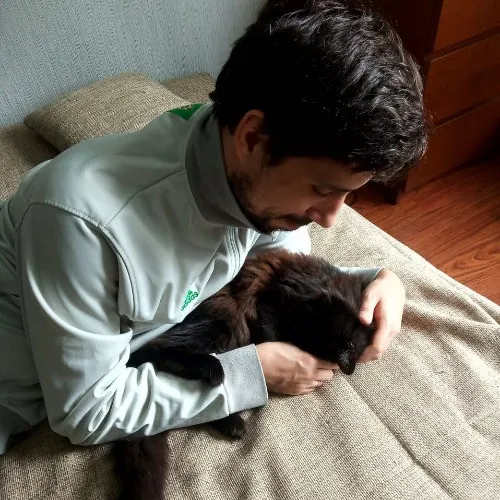 Cats Come First The Responsible Sitting