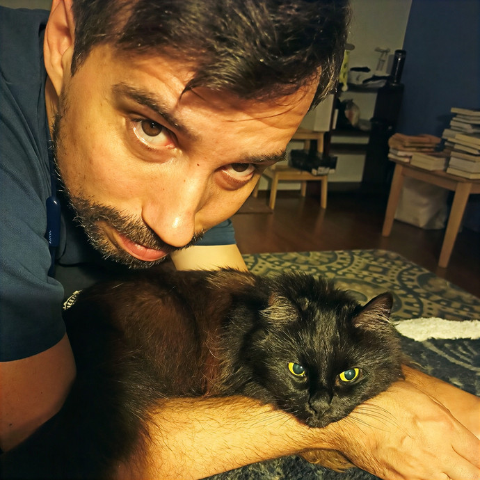 Cats Come First The Responsible Sitting