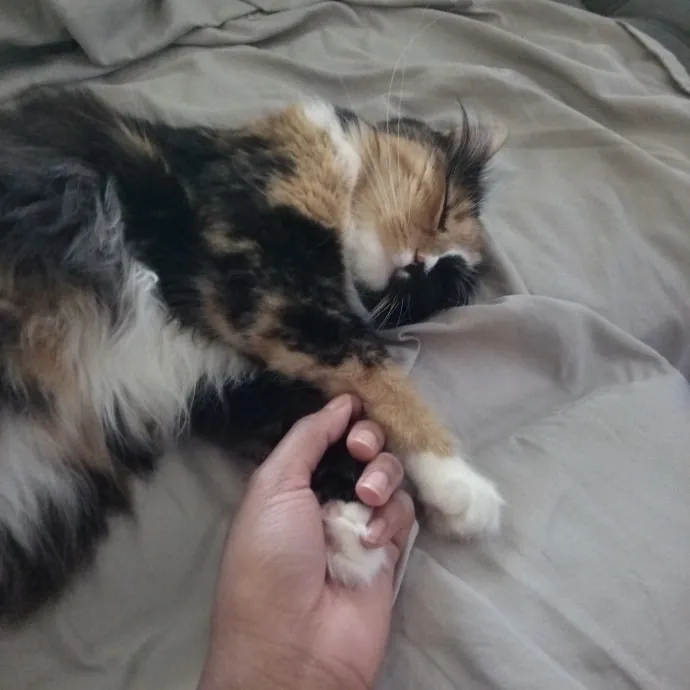 Nyah W.